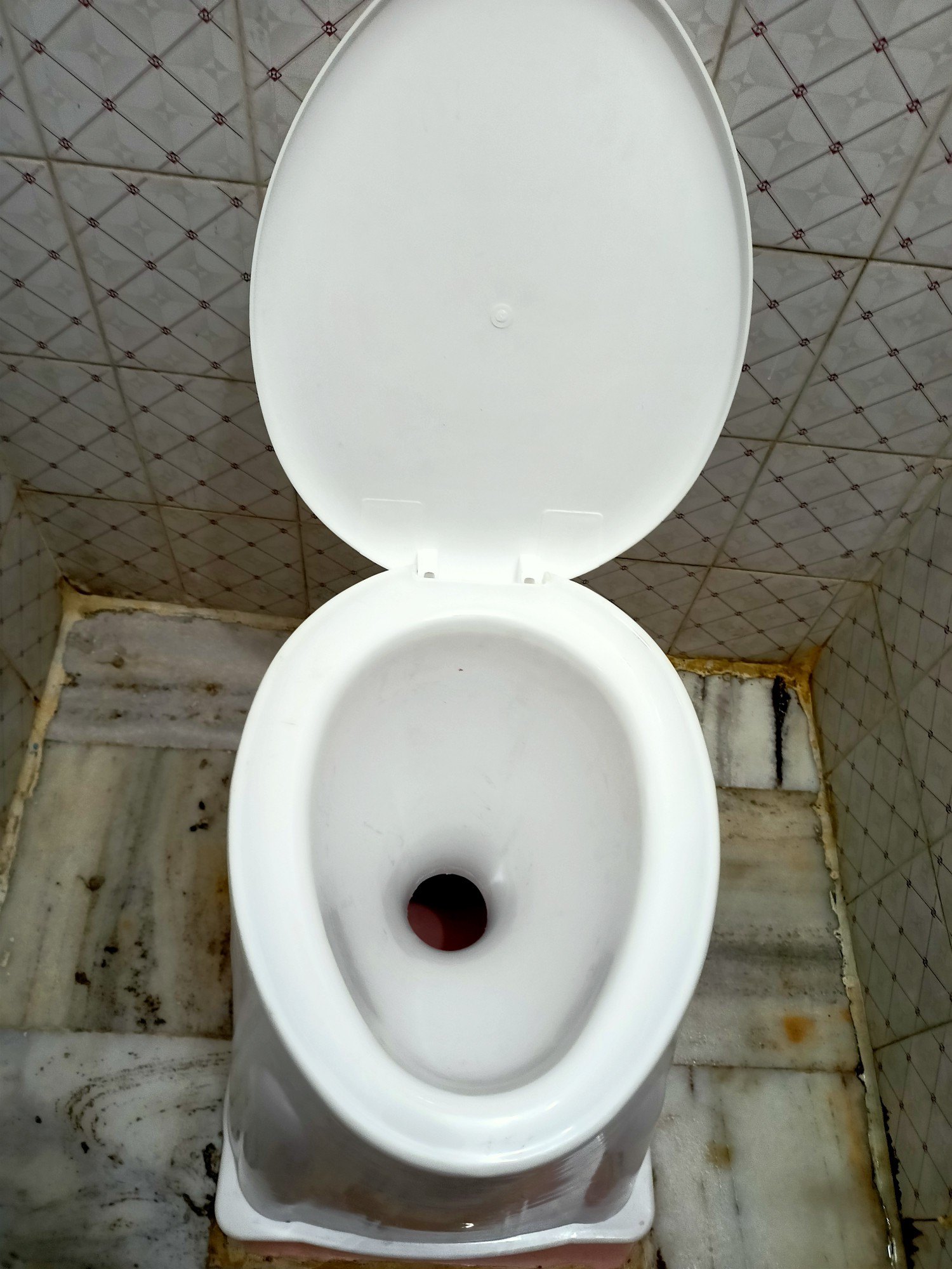 bobby faust add cumming in toilet photo