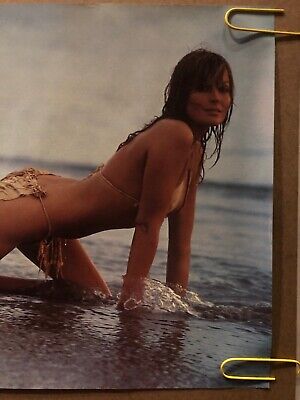 dawn pledger add bo derek naked pics image