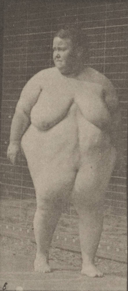 david schefe add fat nude female photo