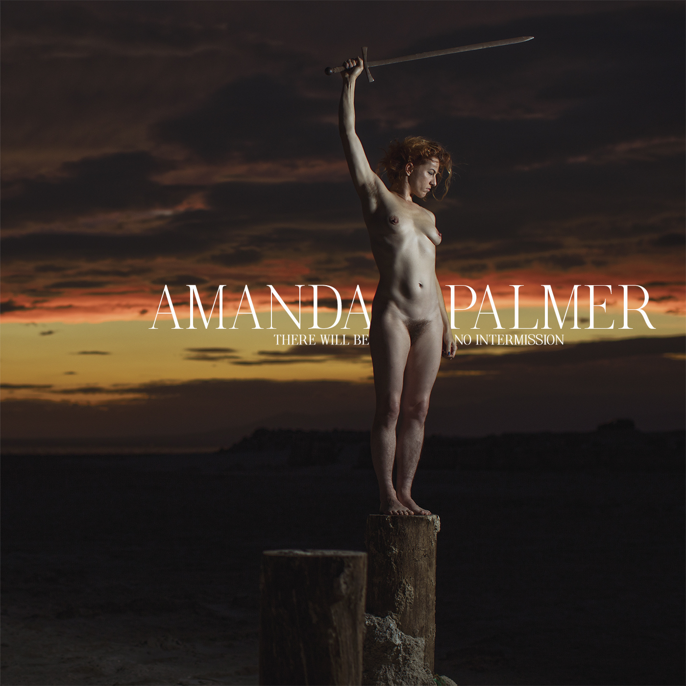 alireza bonyadi add amanda palmer nude image