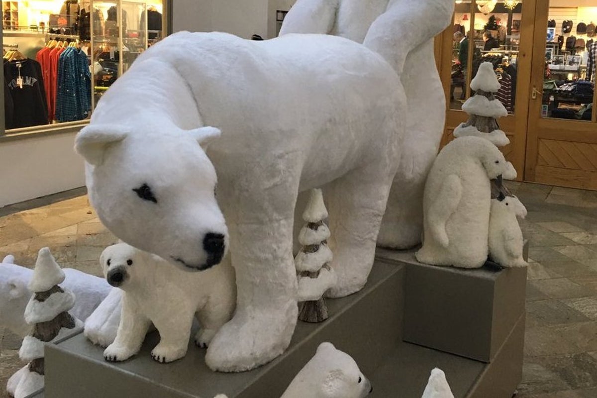 blake maum add polar bear porn photo