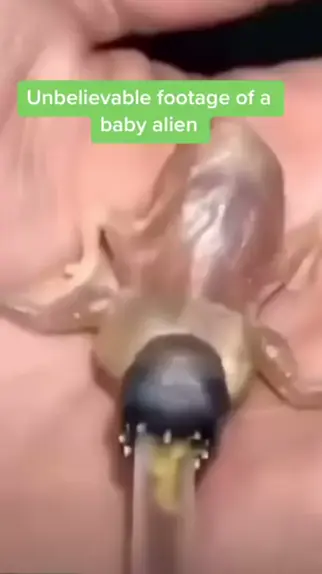 amanda mo add baby alien only fans image