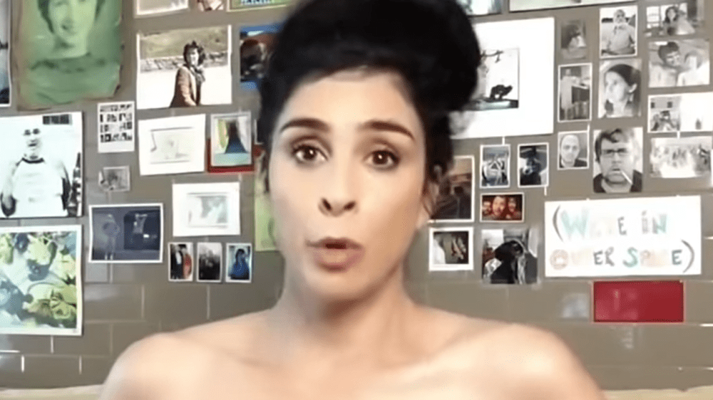 dana fountain add sarah silverman naked photo