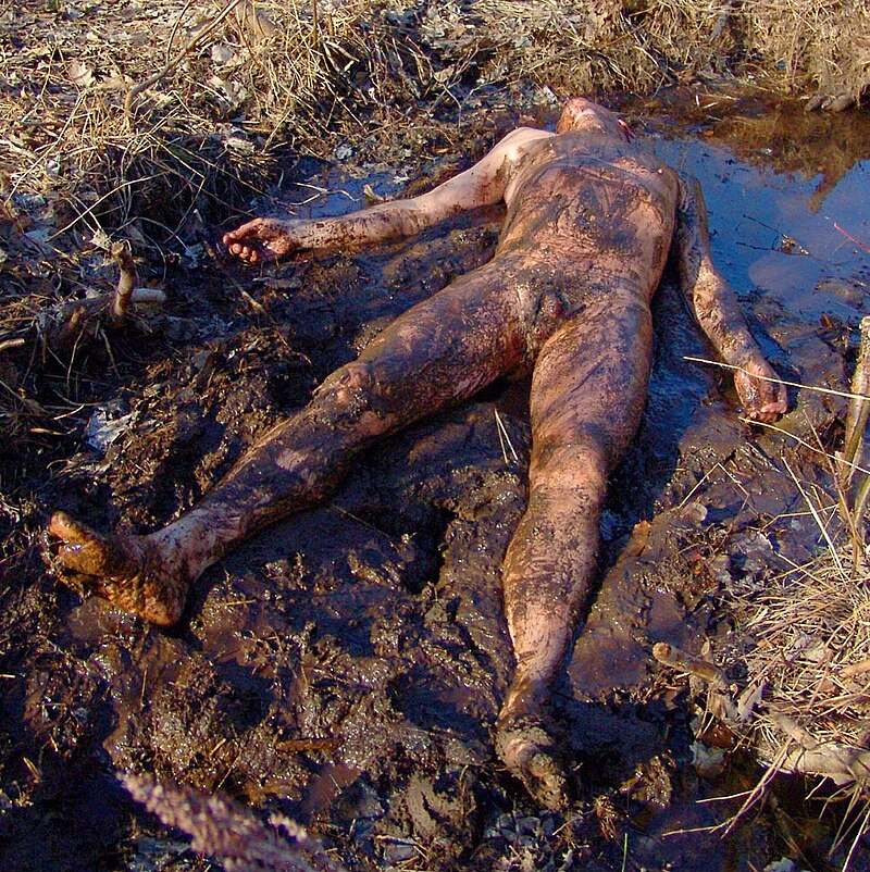 carl isaacson add naked mud bath image