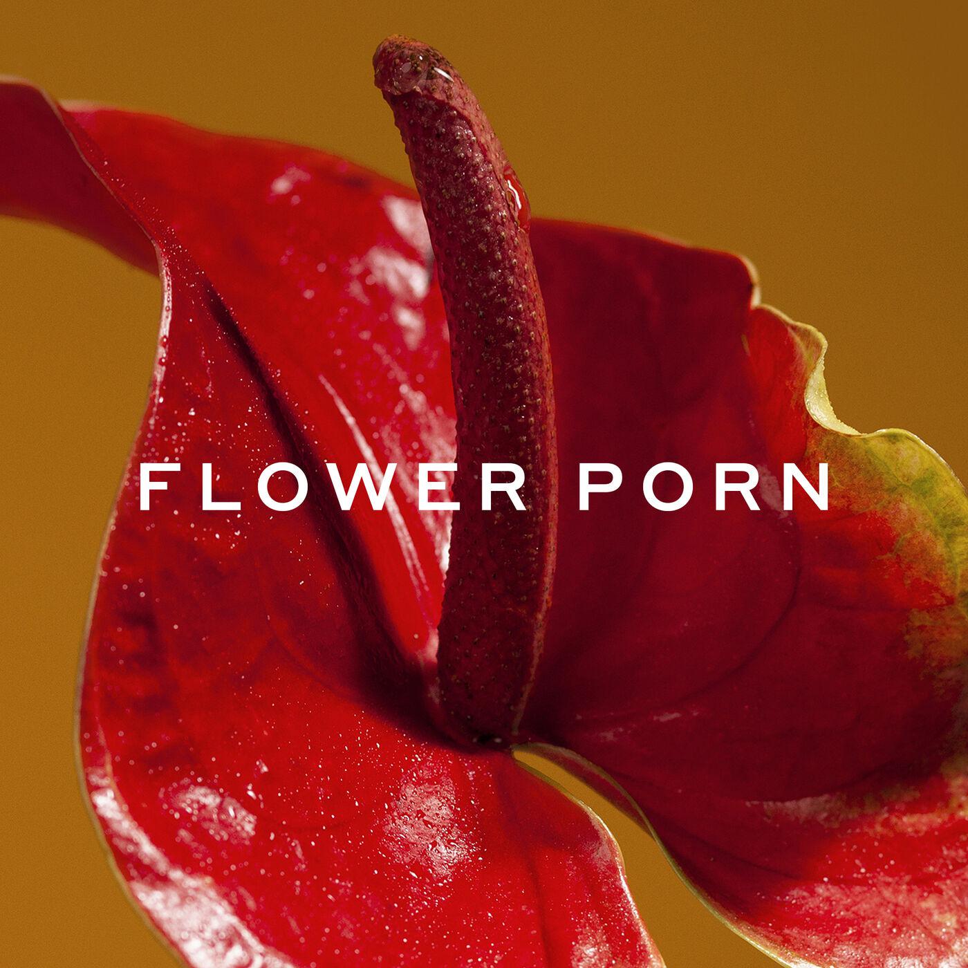 bob lowes add flower porn image