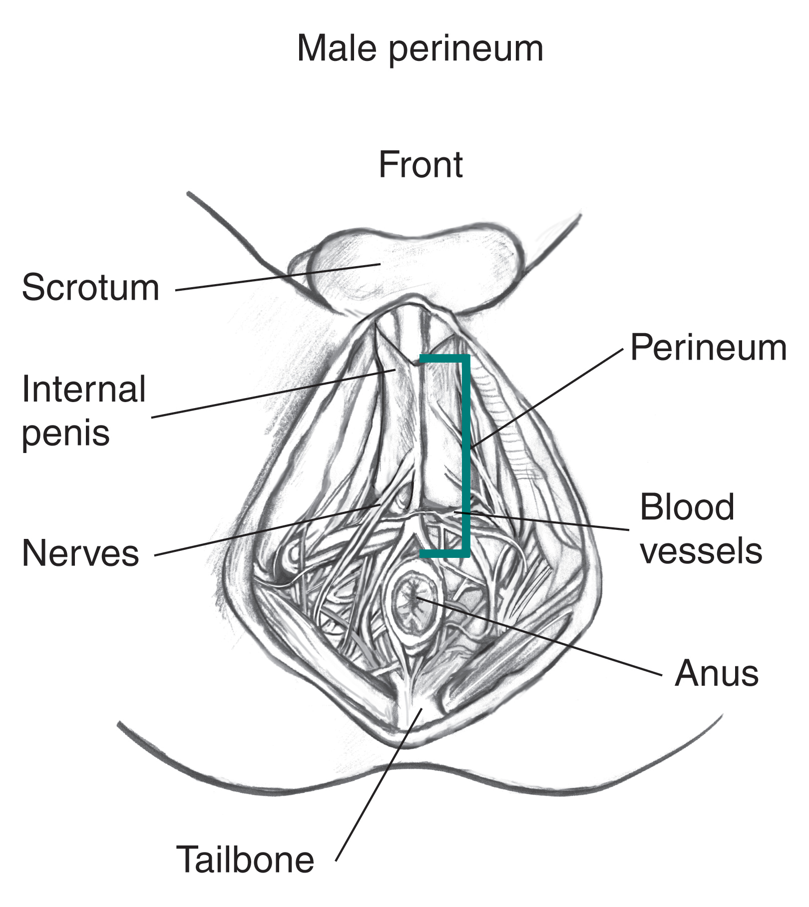 chaz sumlin add penis in boys ass photo