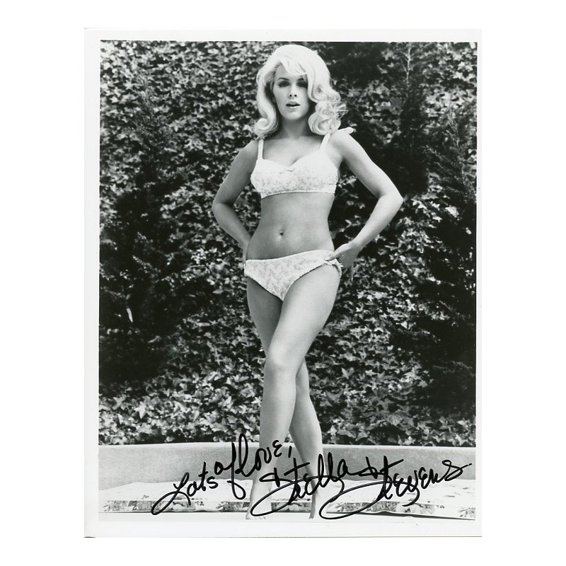 butik pakaian add stella stevens lingerie photo