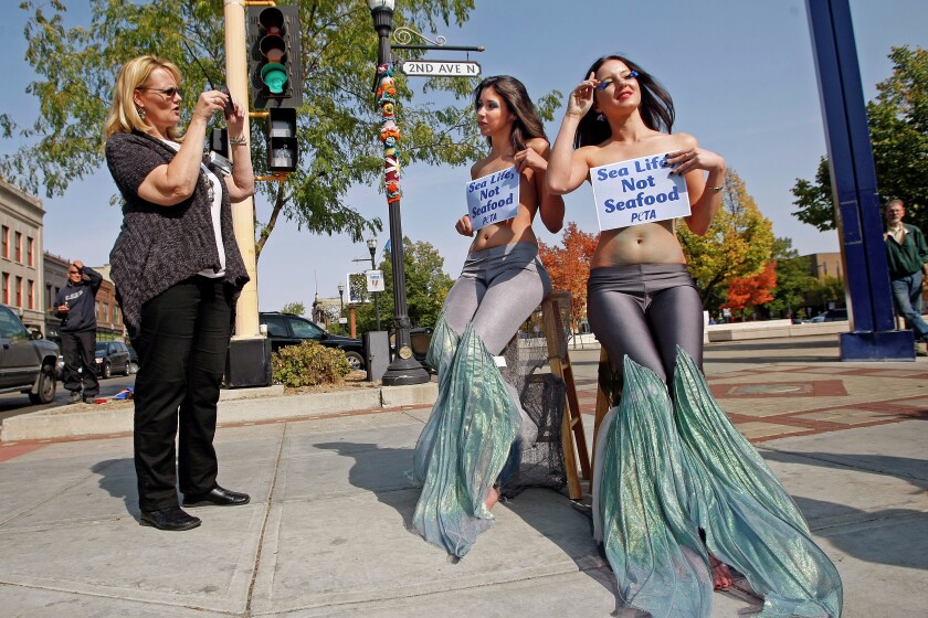 danelle green add topless mermaids photo