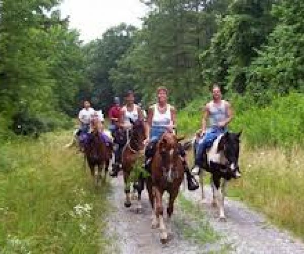 Horse Ride Tours